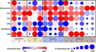 Latrophilin’s Social Protein Network